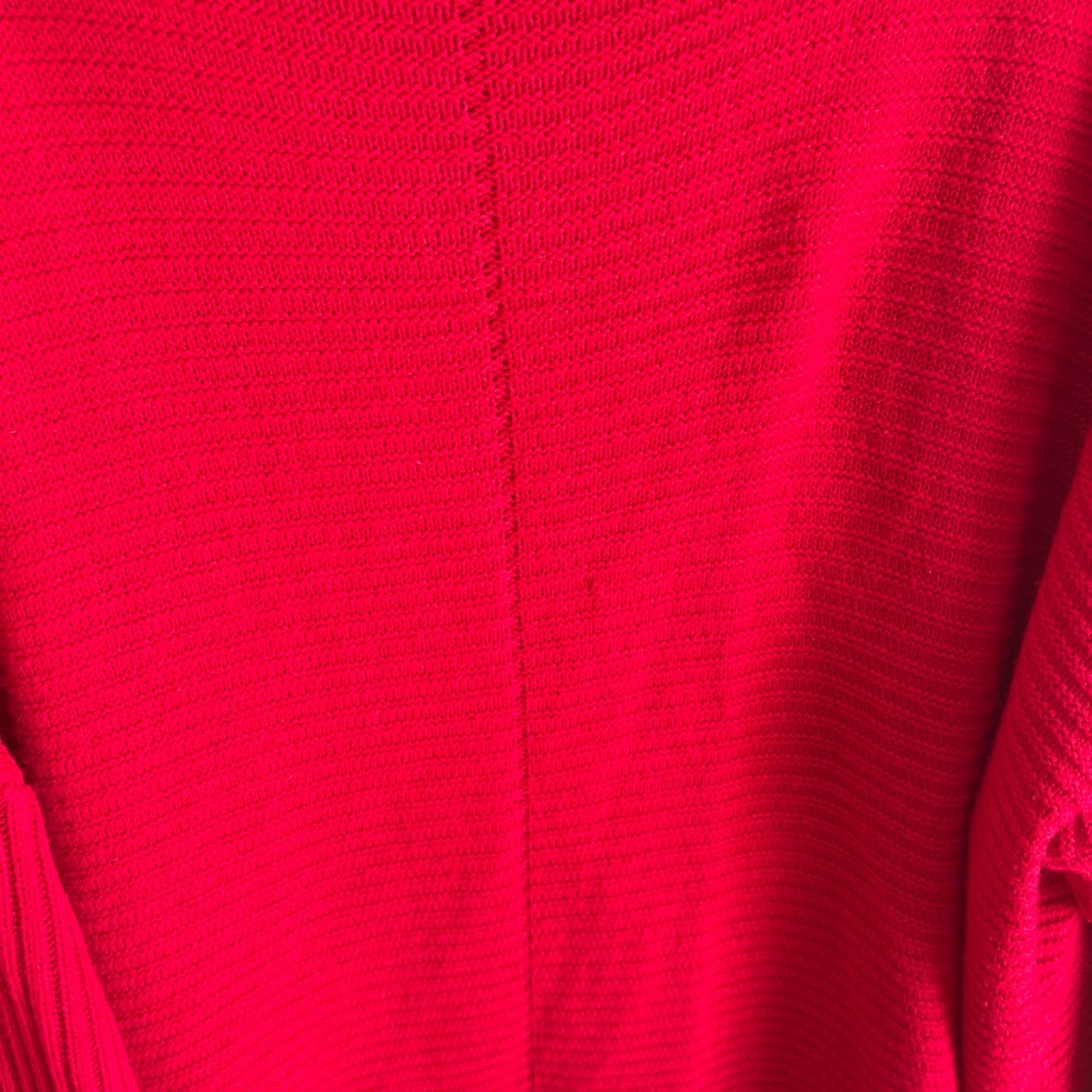 🌹PLUS Sweater 🌹 - Picture 4 of 4